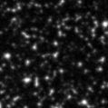 2019muy_image