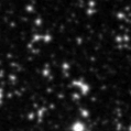 2019muz_image