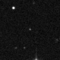 2019mvd_image