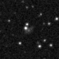 2019mvi_image