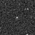 2019mwg_image