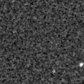 2019mws_image