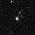 2019myb_image