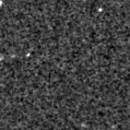 2019myo_image