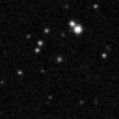 2019myp_image