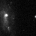 2019mys_image