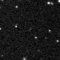 2019mzf_image