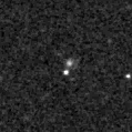 2019mzj_image