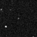 2019mzl_image