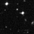 2019nbj_image