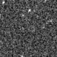 2019ncn_image