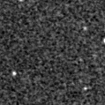 2019ndm_image