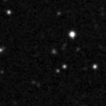 2019nfi_image