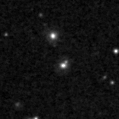 2019nfm_image