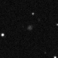 2019nft_image
