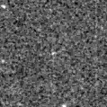 2019ngy_image