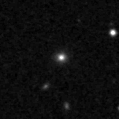 2019njj_image