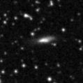 2019njv_image