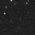 2019nqo_image