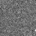 2019nqv_image