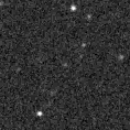 2019nsj_image