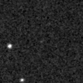 2019nsk_image