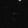 2019nsm_image