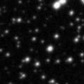 2019nsw_image