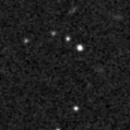 2019nuf_image