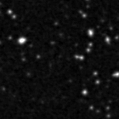 2019nvn_image