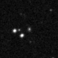 2019nvp_image