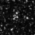 2019nwa_image