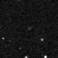2019nww_image