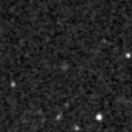 2019nxx_image