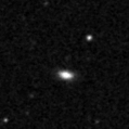 2019nyi_image
