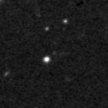 2019nzb_image