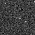 2019nzw_image