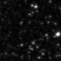 2019oao_image