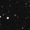 2019odk_image
