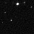 2019opj_image