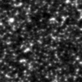 2019orv_image