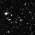 2019oum_image