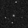 2019ovn_image