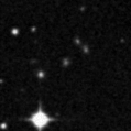 2019owl_image