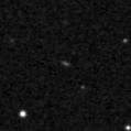 2019ozl_image