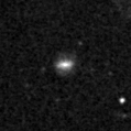 2019ozp_image