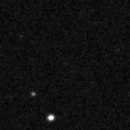 2019paa_image
