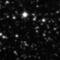 2019pam_image
