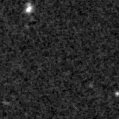 2019pap_image