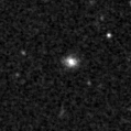 2019pas_image